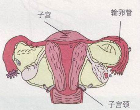 输卵管堵塞去盐城哪里看比较好呢